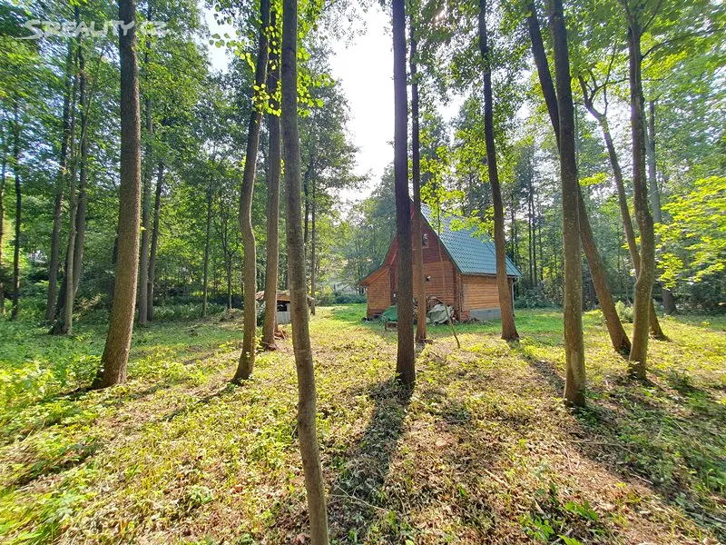 Pohled na rozlehlý pozemek se stromy